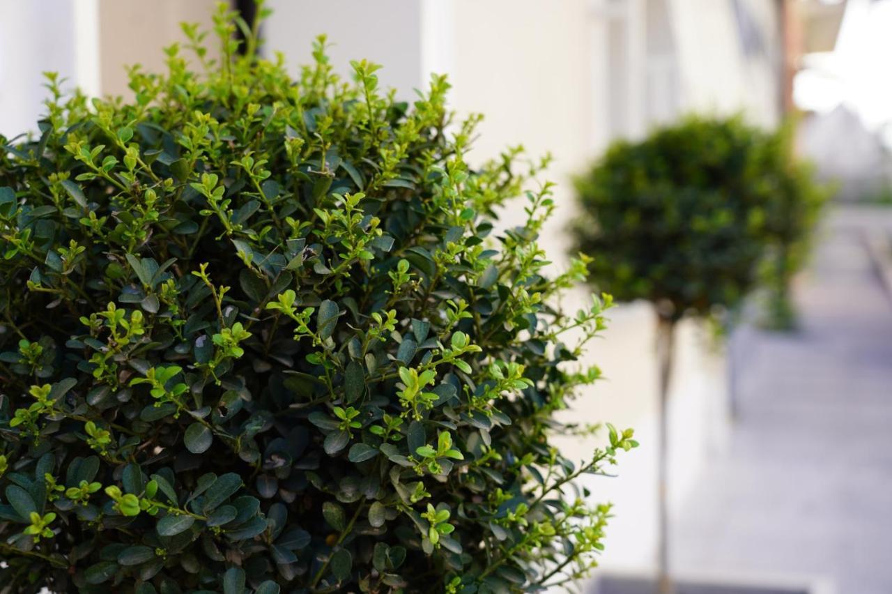 4Rooms B&B - Holiday Home Lamezia Terme Zewnętrze zdjęcie